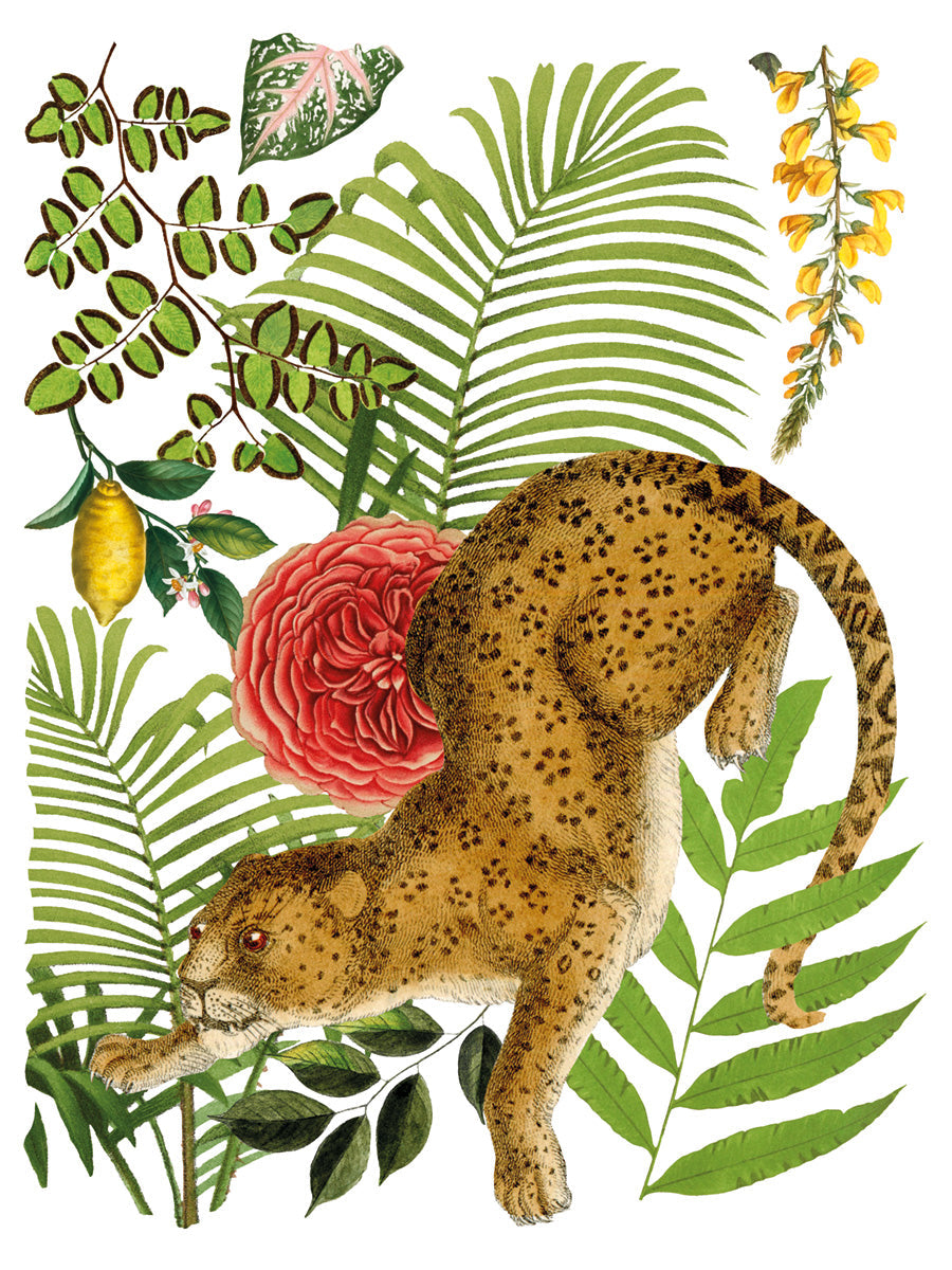 Bungalow IOD Transfer 12x16 Pad™ -Iron Orchid Designs