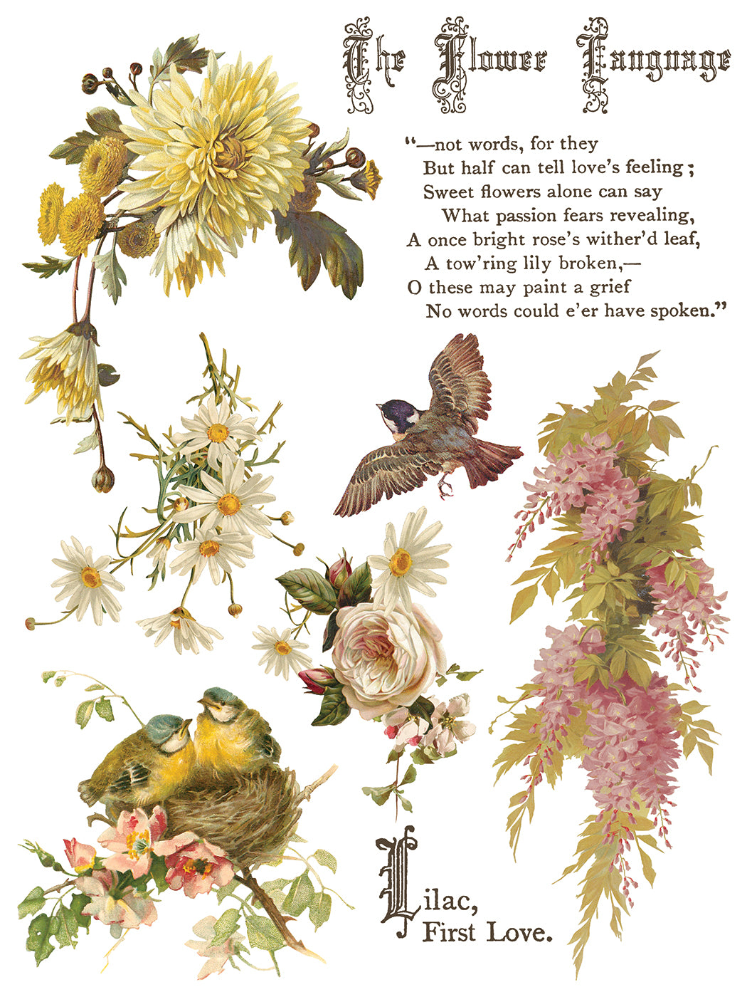 Flowers by the Poets Transfer