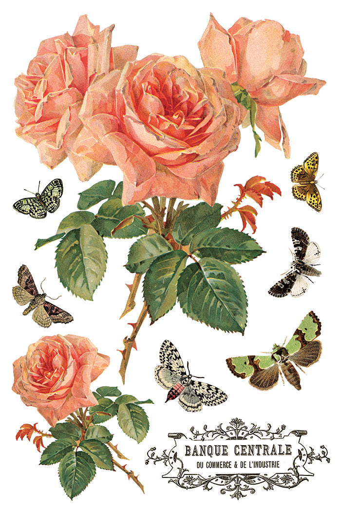 Iron Orchid Designs