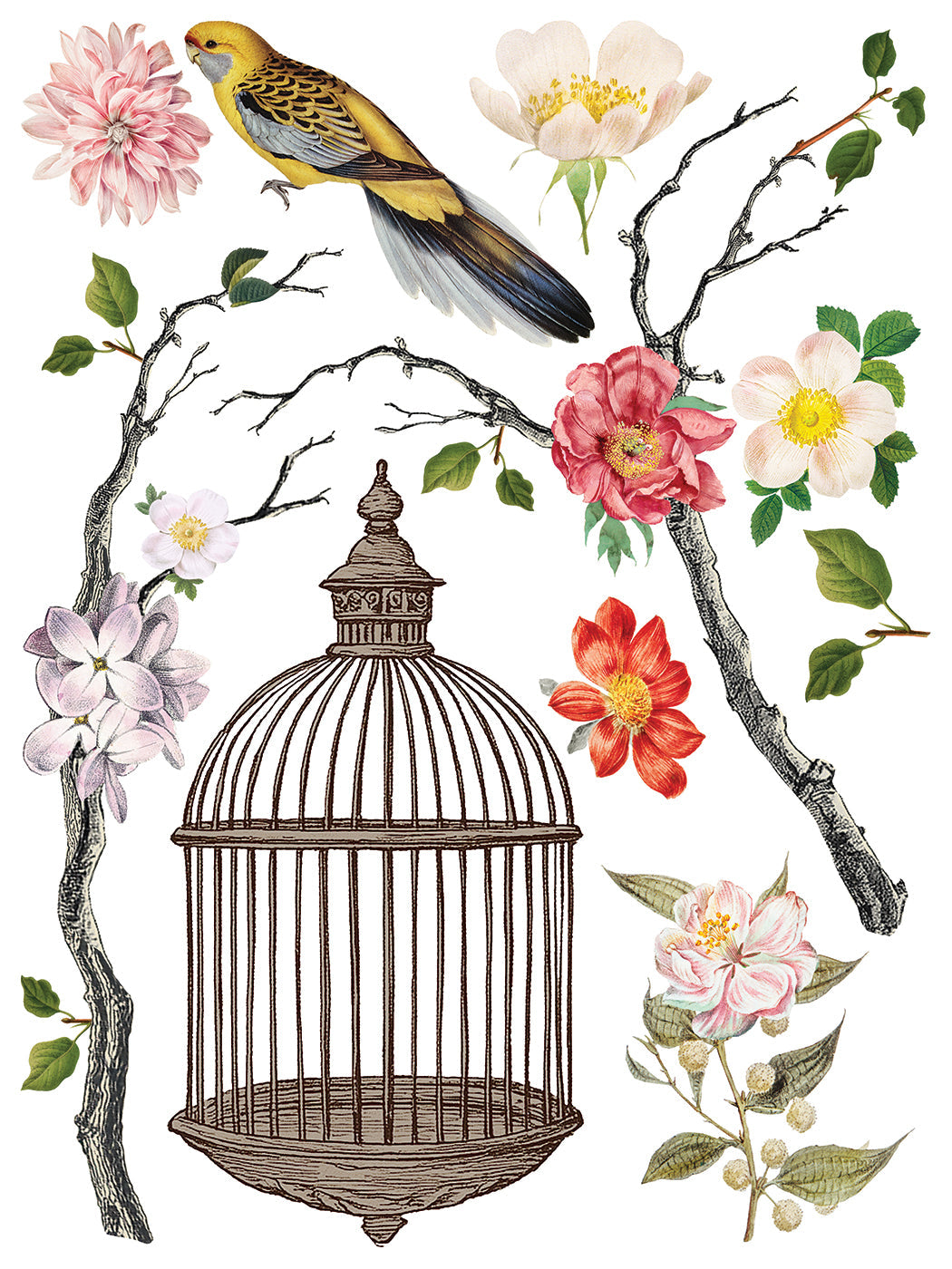 Menagerie IOD Transfer 12x16 Pad™
