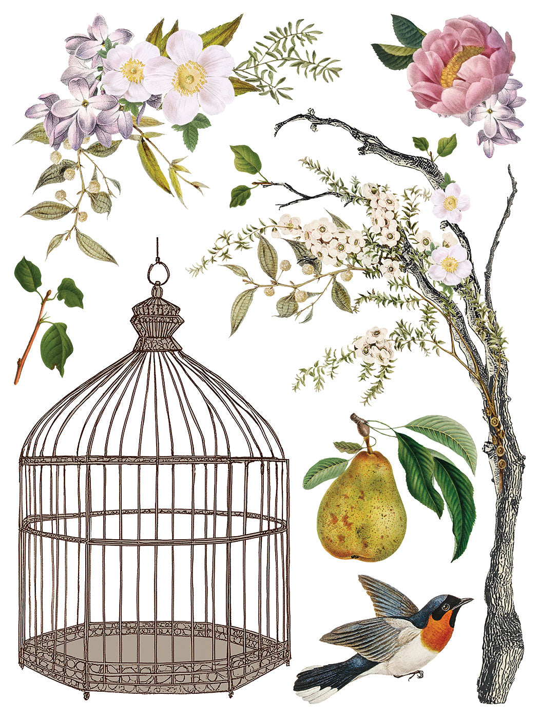 Menagerie IOD Transfer 12x16 Pad™