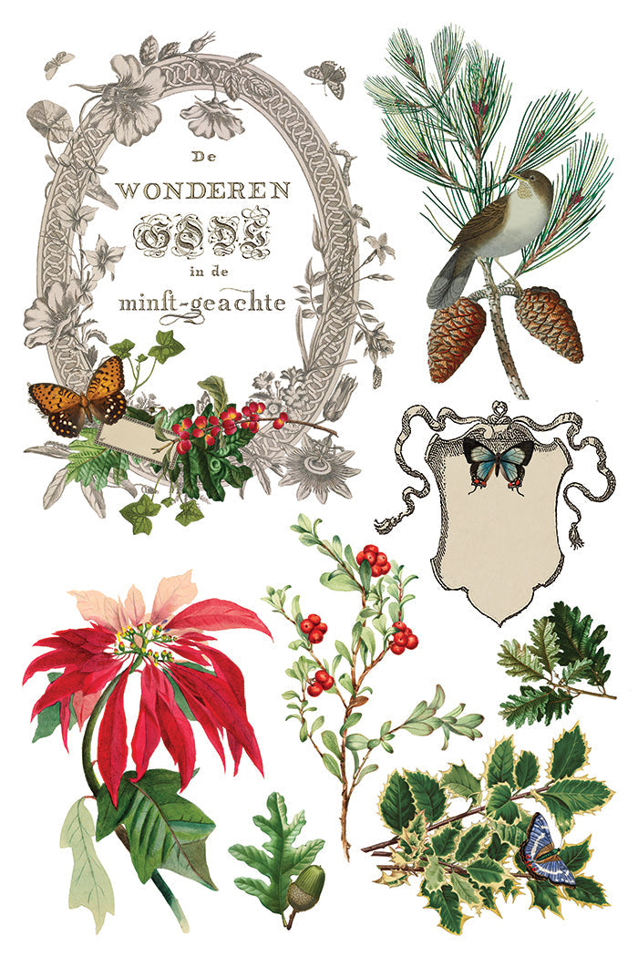 Winter Botanist IOD Transfer 8x12 Pad™-Iron Orchid Designs