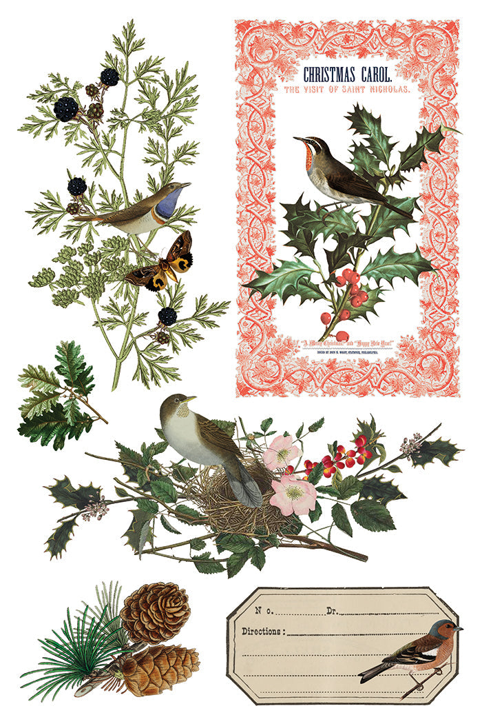 Winter Botanist IOD Transfer 8x12 Pad™-Iron Orchid Designs