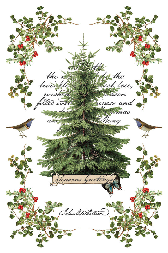 Winter Botanist IOD Transfer 8x12 Pad™-Iron Orchid Designs