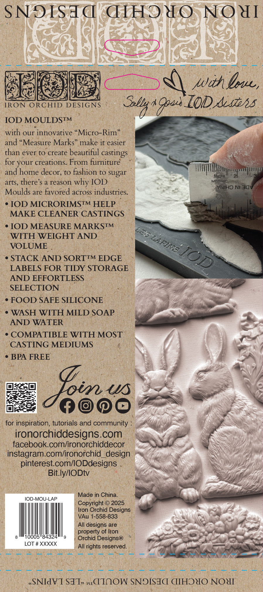 Les Lapins 6x10 IOD Mould™ - Iron Orchid Designs