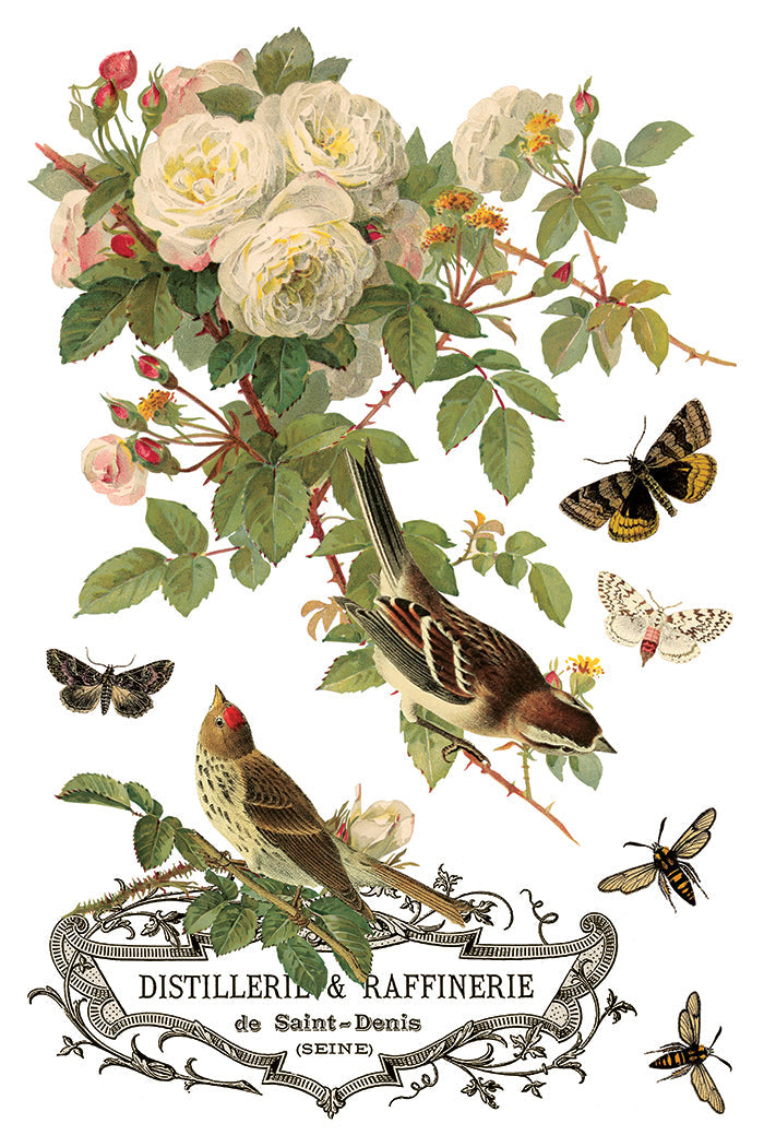 By Any Other Name IOD Transfer 8x12 Pad™-Iron Orchid Designs