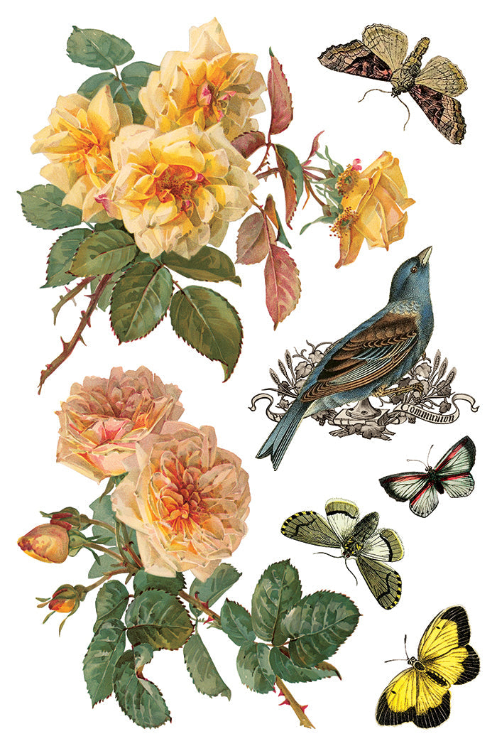 By Any Other Name IOD Transfer 8x12 Pad™-Iron Orchid Designs