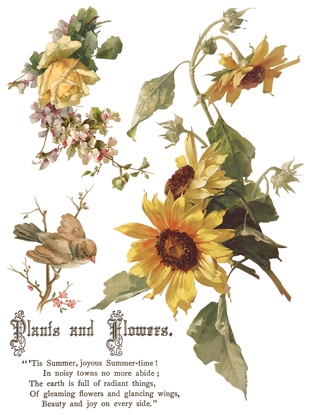 Flowers by the Poets Transfer