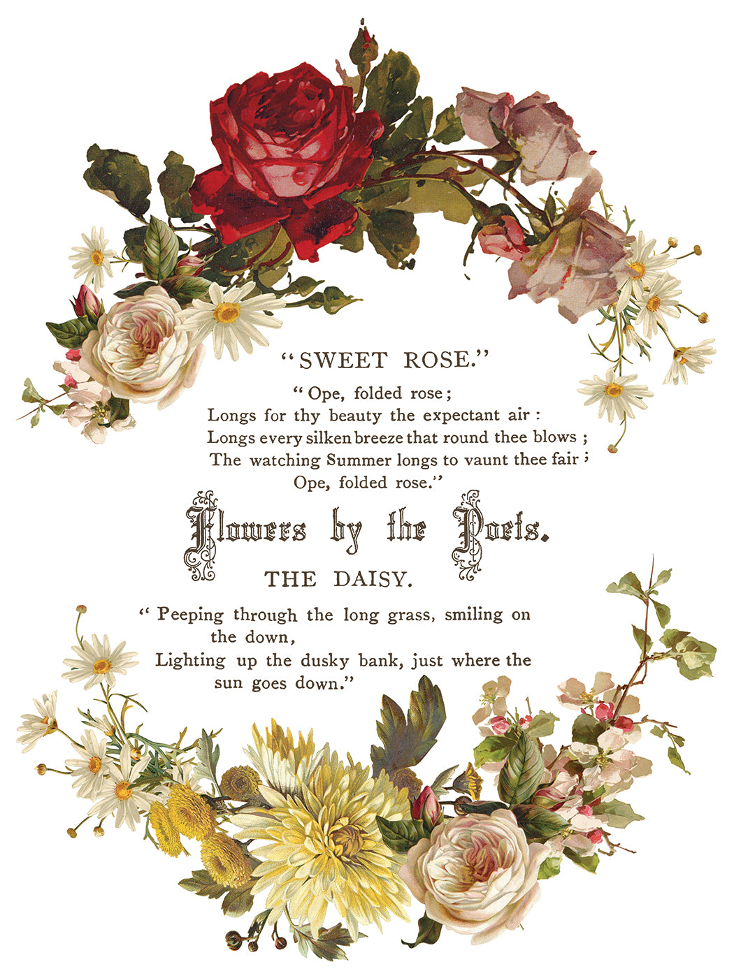 Flowers by the Poets Transfer