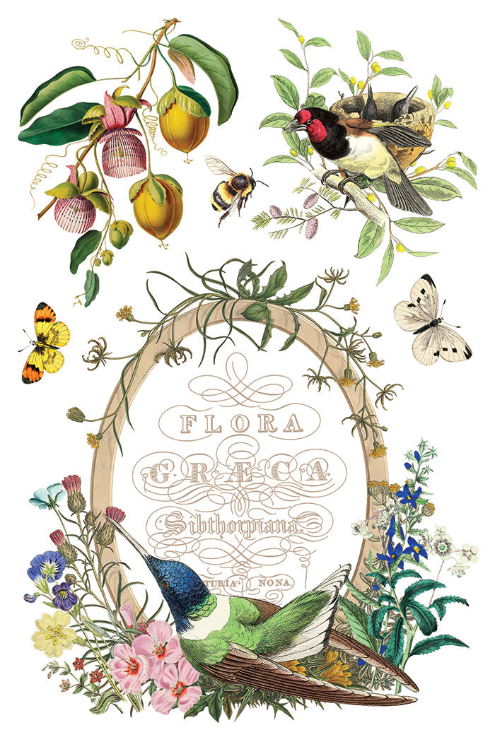 Flora Greca IOD Transfer 8x12 Pad™-Iron Orchid Designs