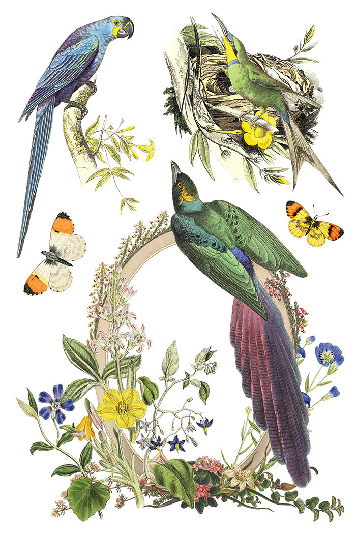 Flora Greca IOD Transfer 8x12 Pad™-Iron Orchid Designs