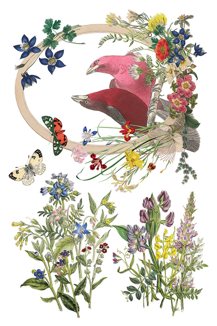 Flora Greca IOD Transfer 8x12 Pad™-Iron Orchid Designs