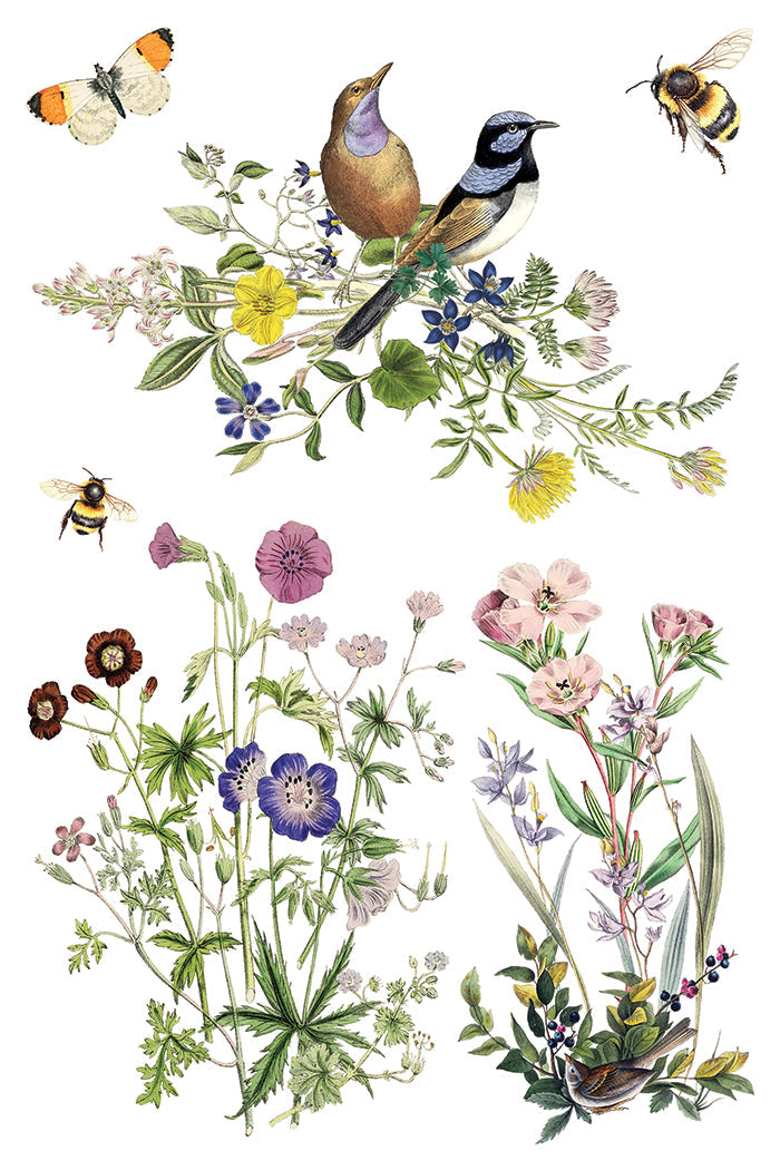 Flora Greca IOD Transfer 8x12 Pad™-Iron Orchid Designs