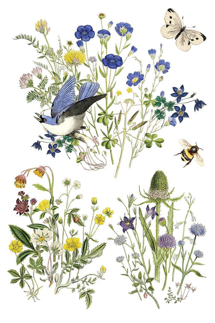 Flora Greca IOD Transfer 8x12 Pad™-Iron Orchid Designs