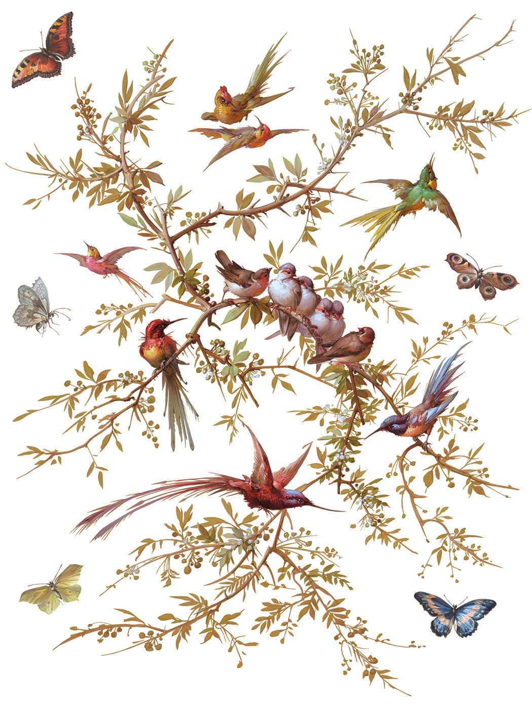Madeleine IOD Transfer 12x16 Pad™ -Iron Orchid Designs
