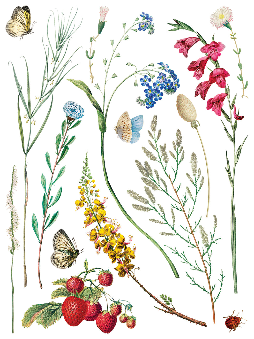Marché des Fleurs Transfer