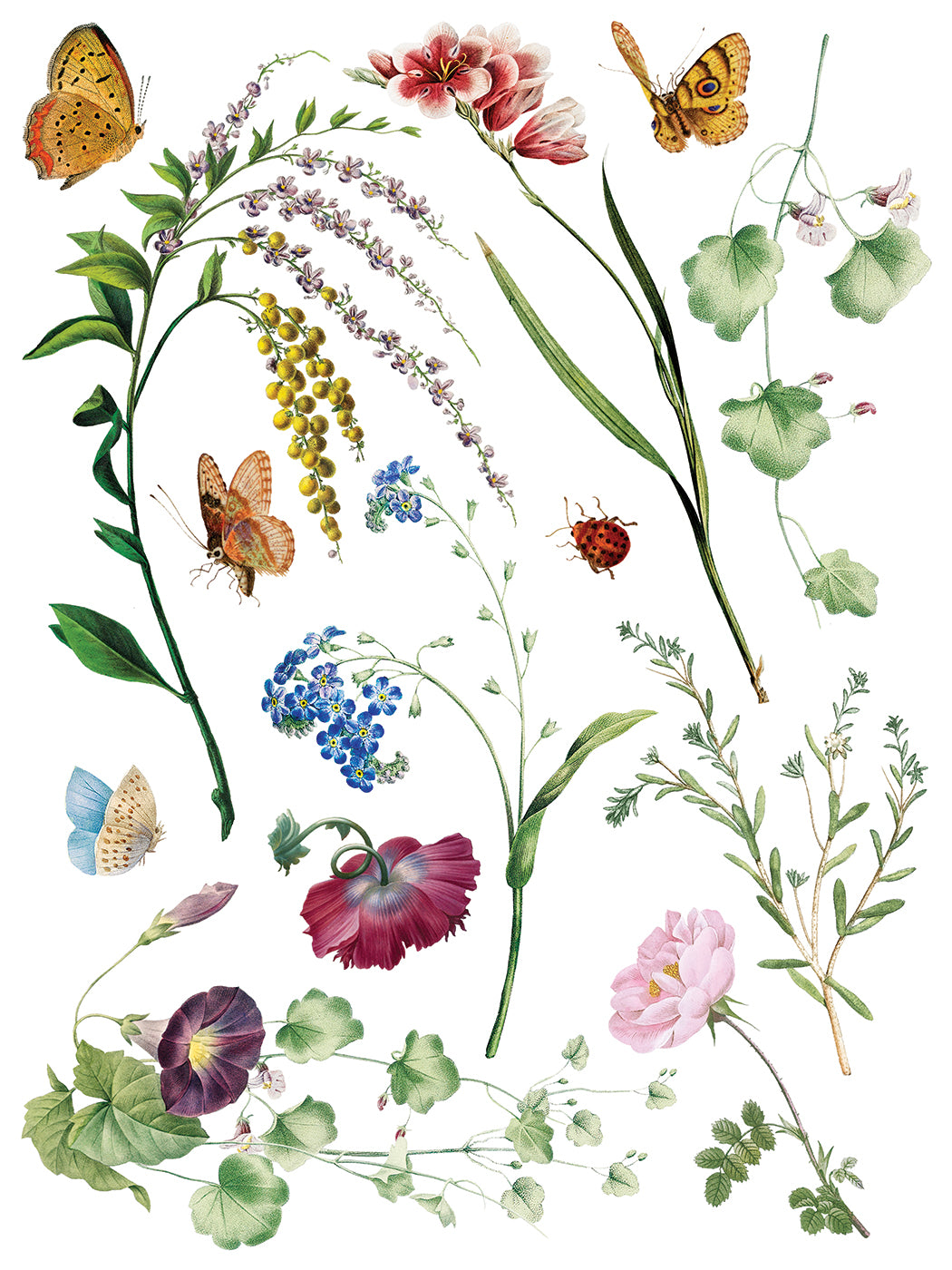Marché des Fleurs Transfer