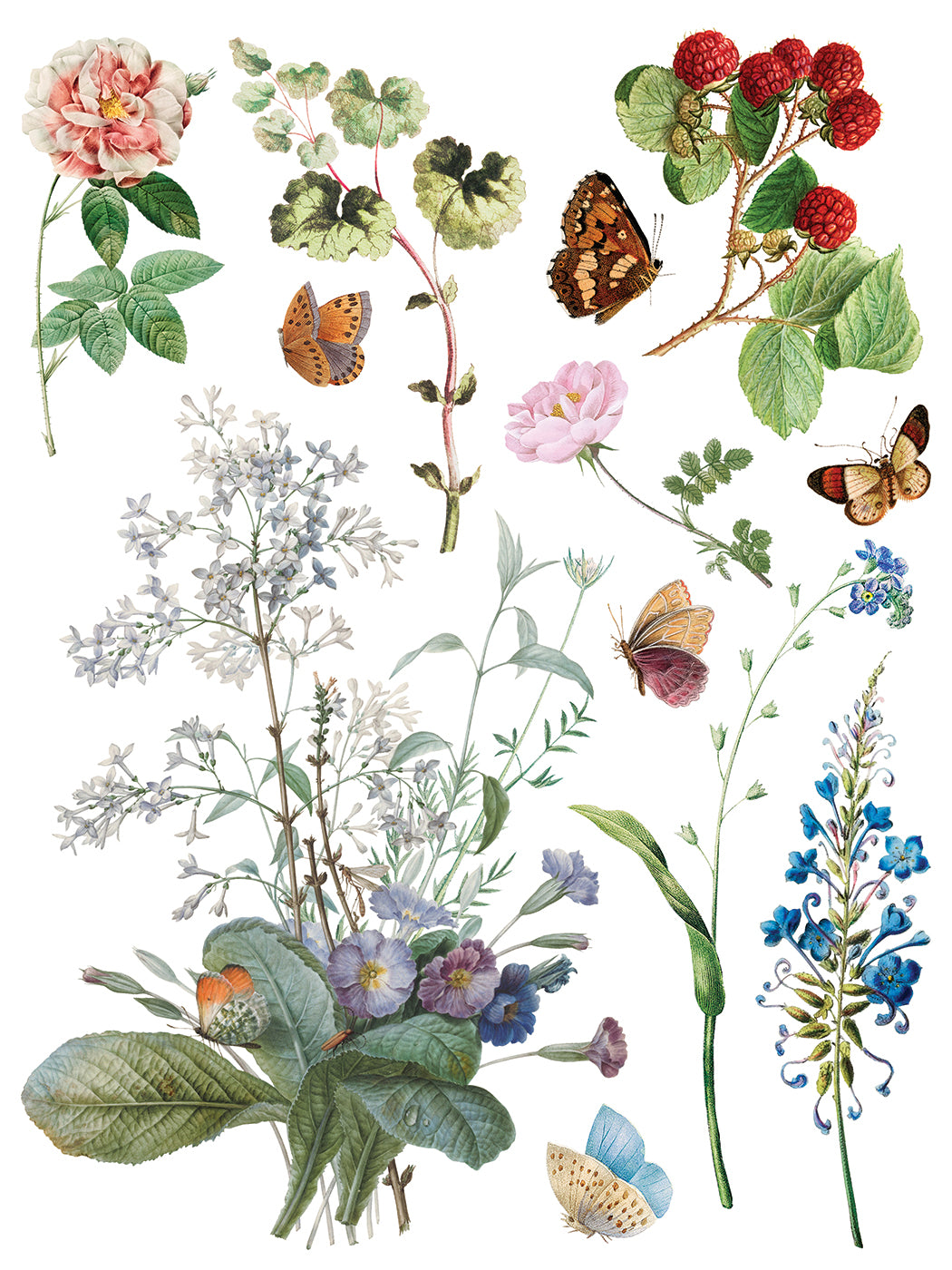 Marché des Fleurs Transfer