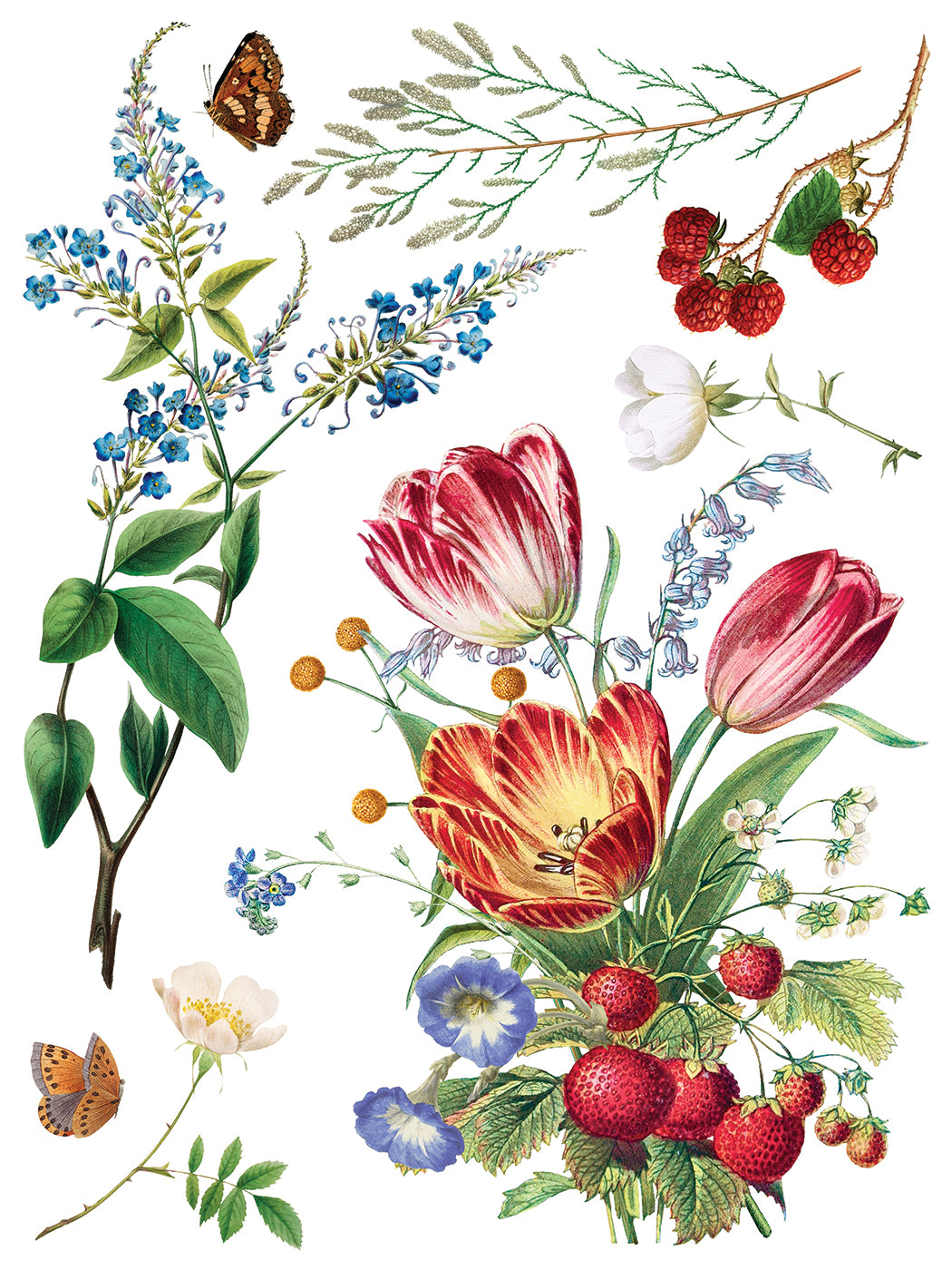 Marché des Fleurs Transfer