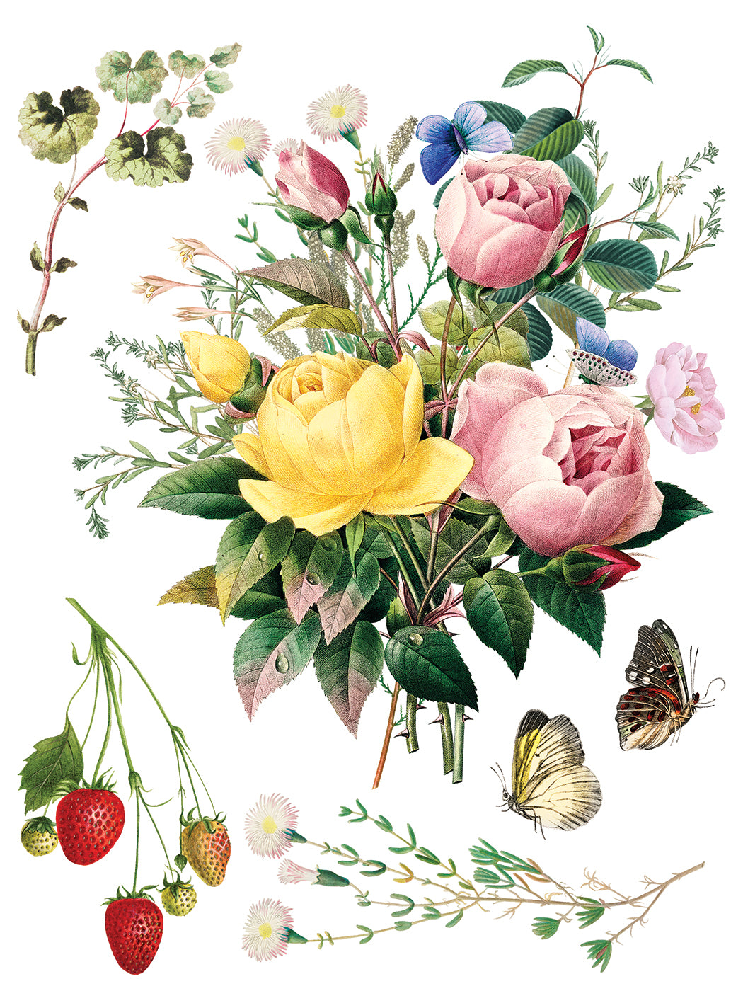 Marché des Fleurs Transfer