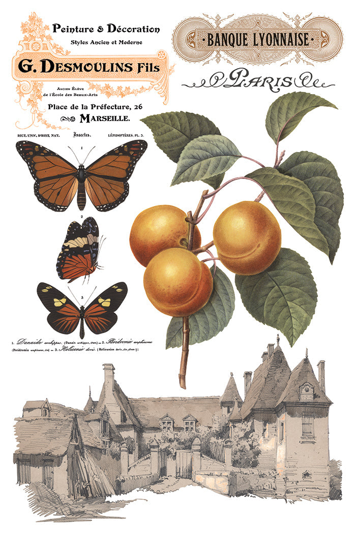 Saint Ouen IOD Transfer 8x12 Pad™-Iron Orchid Designs