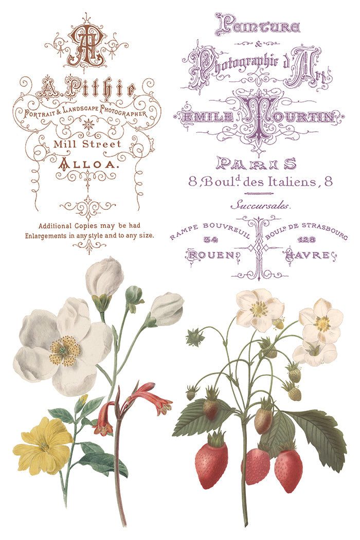 Saint Ouen IOD Transfer 8x12 Pad™-Iron Orchid Designs