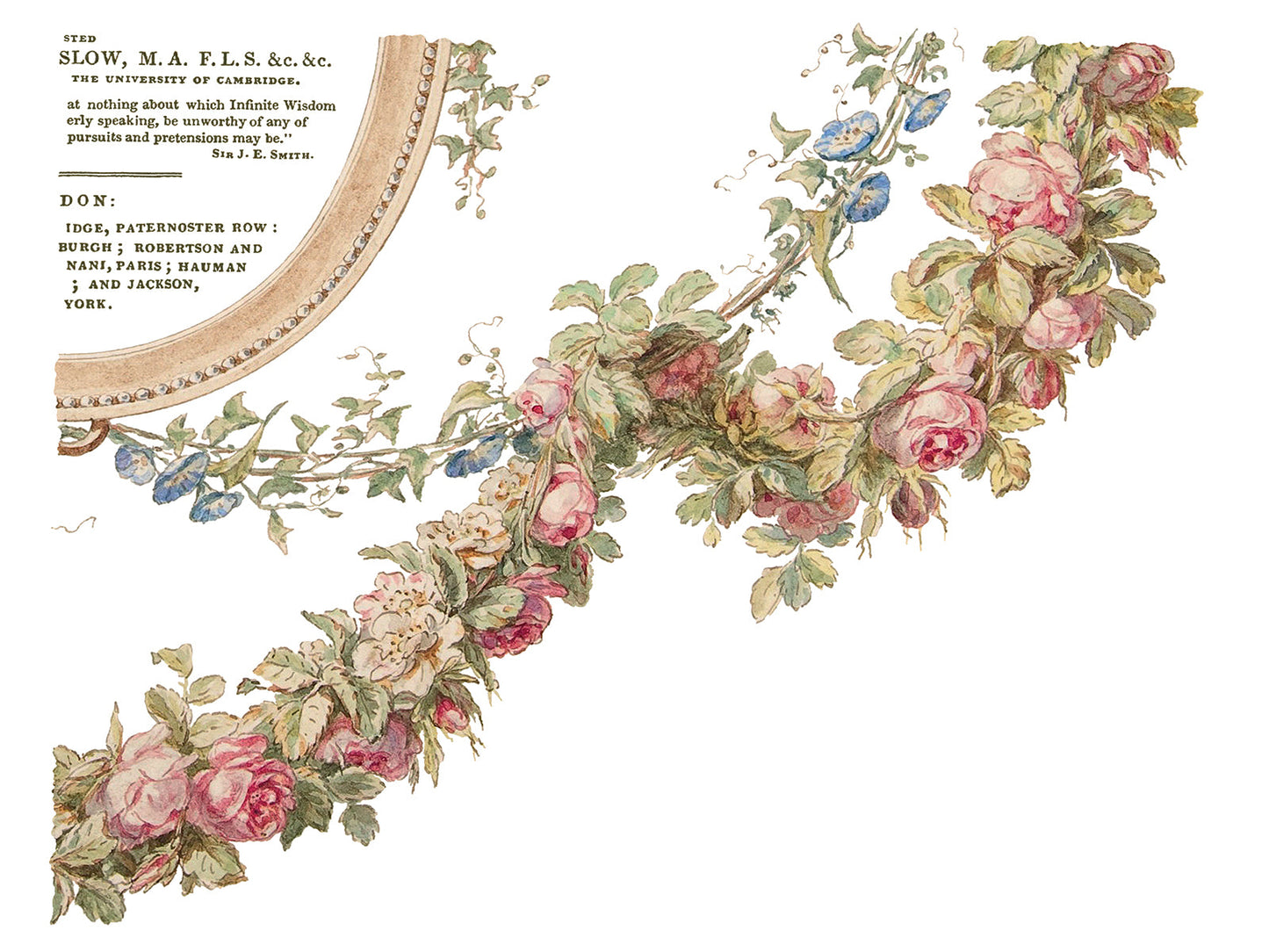 The Botanist IOD Transfer 12x16 Pad™-Iron Orchid Designs